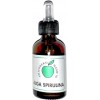 Alga Spirulina